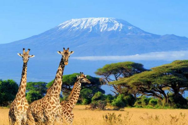 Kenia – Reisen in eine andere Welt